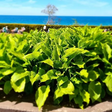 Resort Osrodek Wypoczynkowy Gwarek Ustronie Morskie