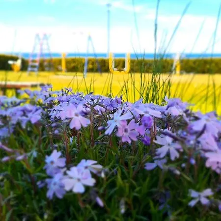 Osrodek Wypoczynkowy Gwarek * 우스트 노리 모르스키