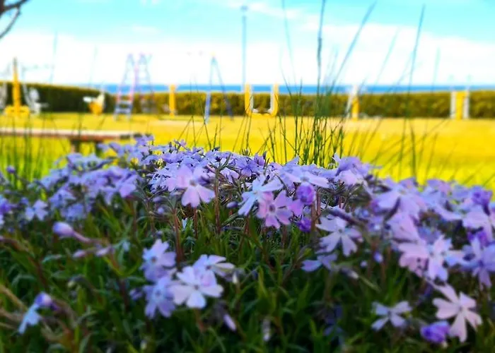 Osrodek Wypoczynkowy Gwarek * Ustronie Morskie